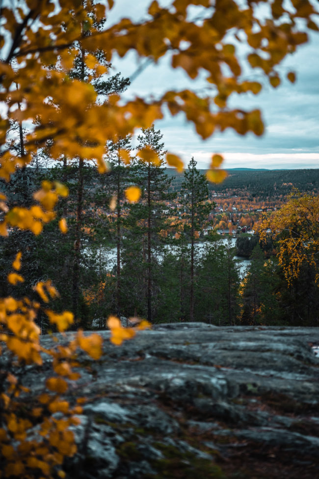 Visit Rovaniemi Ounasvaara Autumn 8