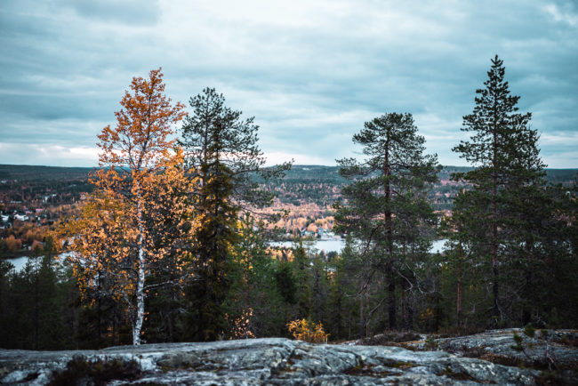 Visit Rovaniemi Ounasvaara Autumn 9