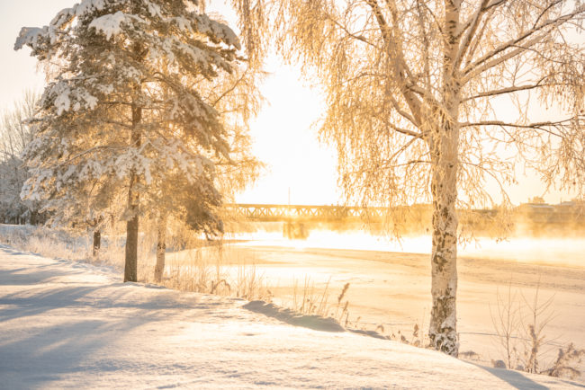 Talvi Rovaniemi1