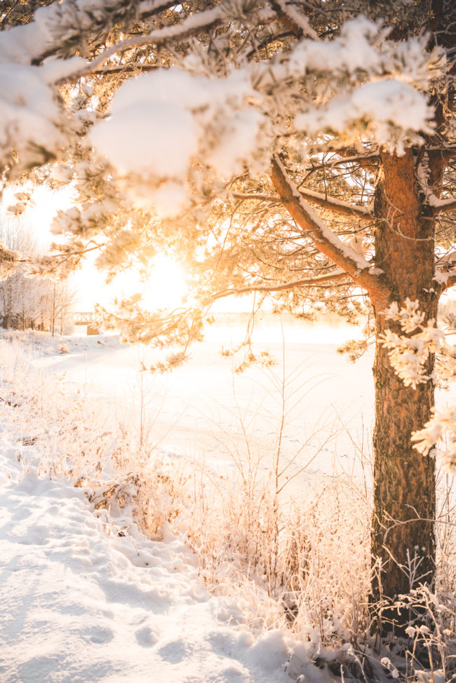 Visit Lapland Winter